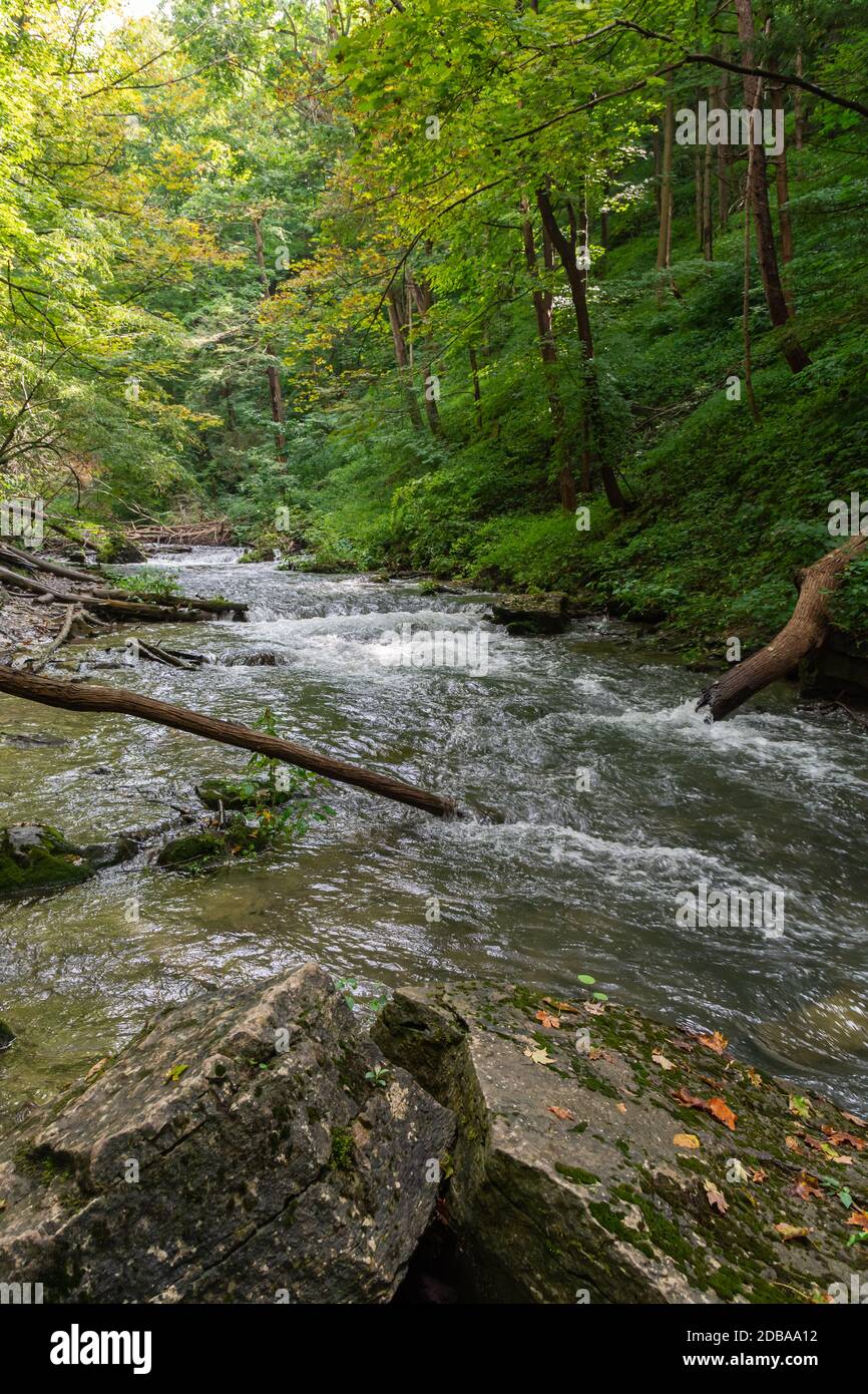 Lower Decew Conservation Area Ontario Kanada Stockfoto