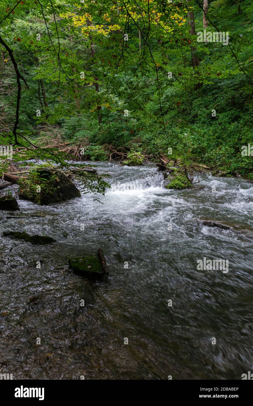 Lower Decew Conservation Area Ontario Kanada Stockfoto