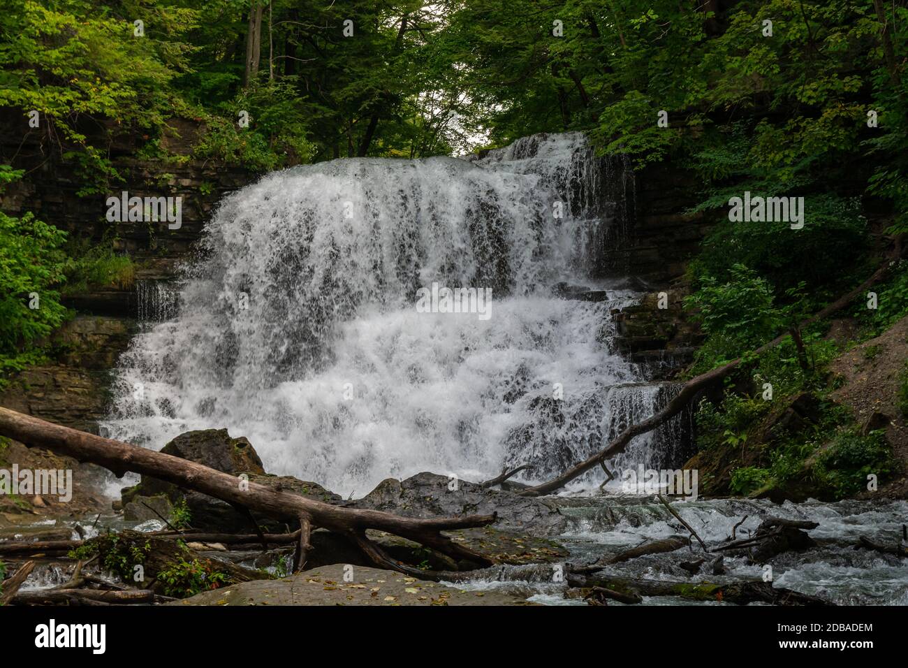 Lower Decew Falls Conservation Area Saint Catharines Ontario Kanada Stockfoto