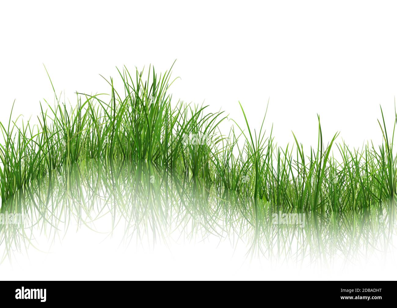Gras mit Reflexion auf dem Wasser Stockfoto