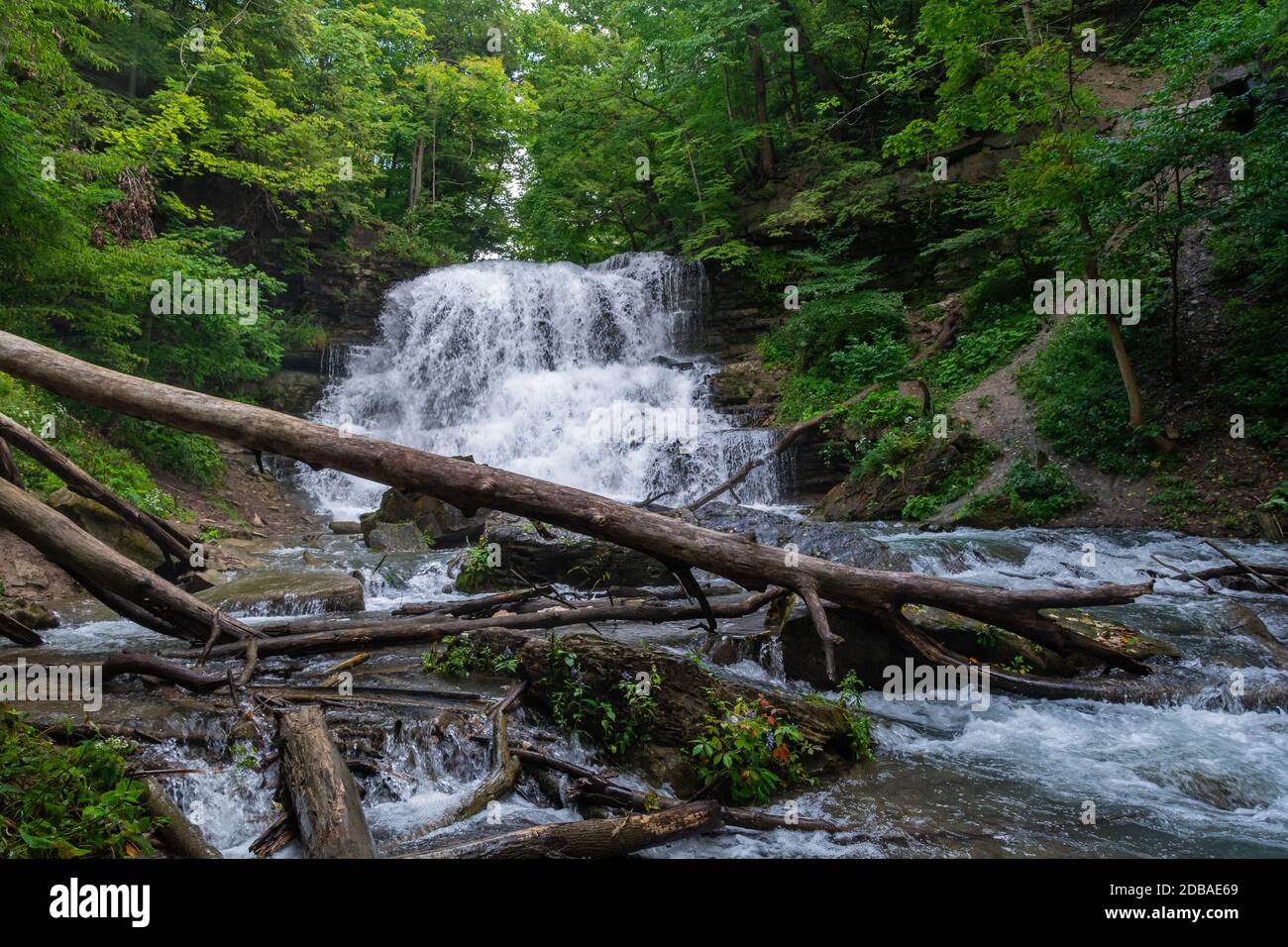 Lower Decew Falls Conservation Area Saint Catharines Ontario Kanada Stockfoto