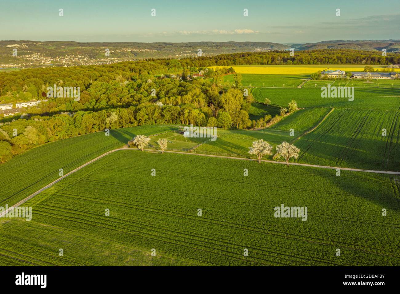 Luftaufnahme der Bauernhoflandschaft von Remagen Deutschland Natur Frühling Stockfoto