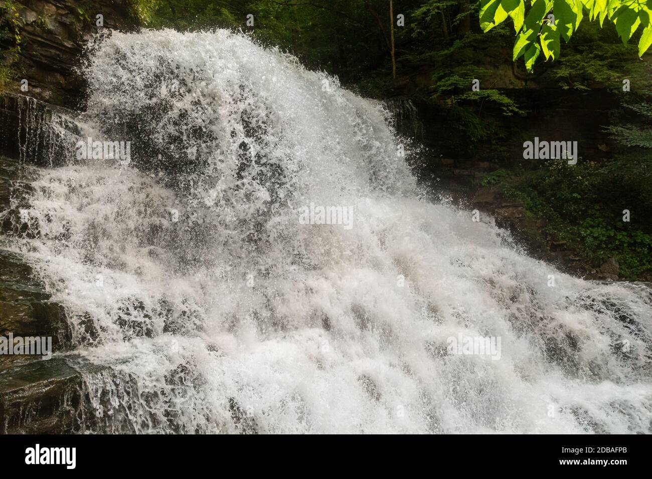 Lower Decew Falls Conservation Area Saint Catharines Ontario Kanada Stockfoto