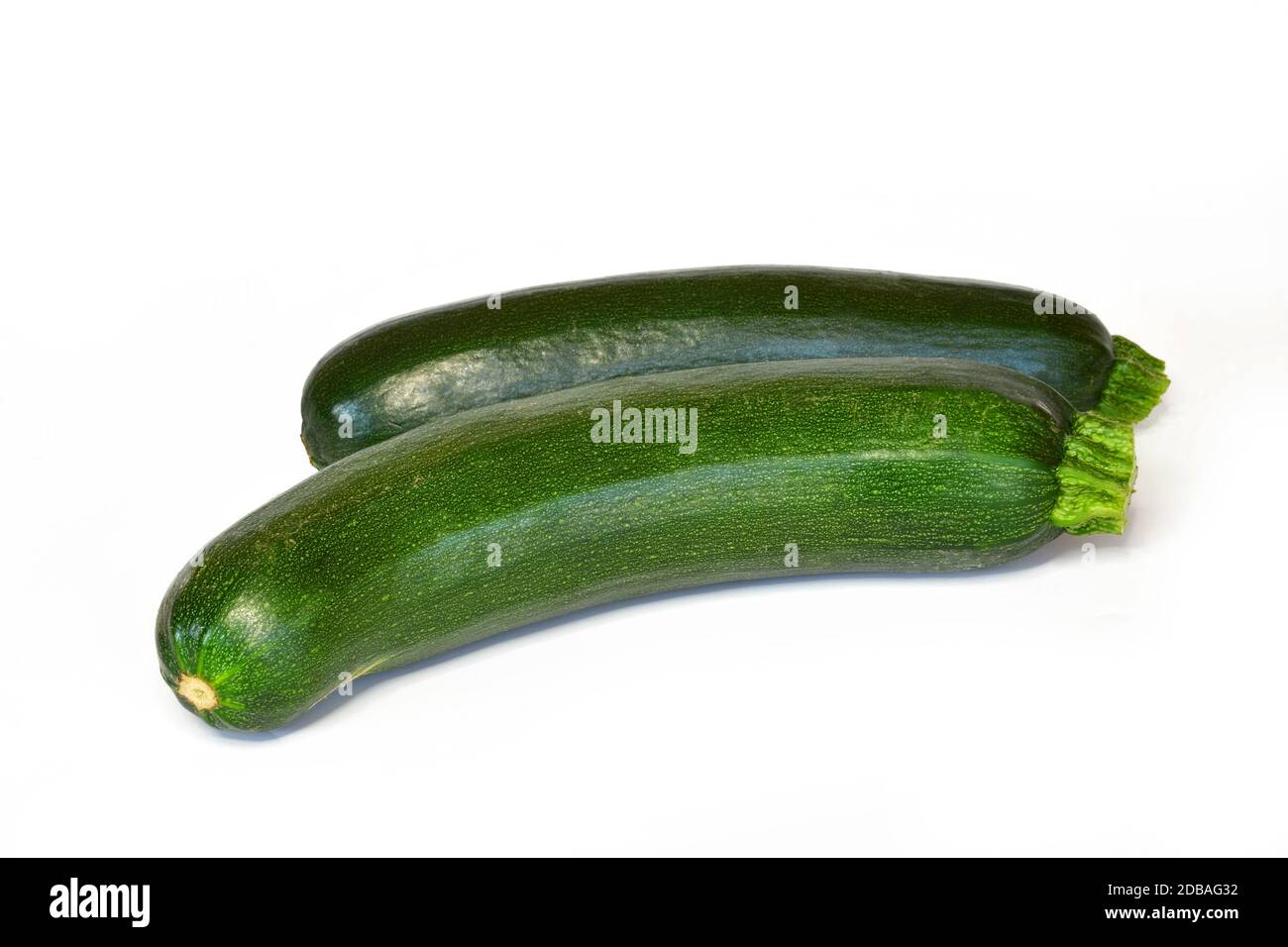 Zucchini, frisches Gemüse aus dem Garten Stockfoto