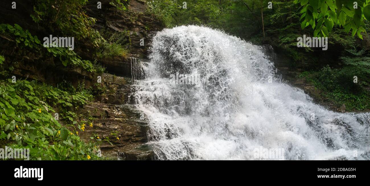 Lower Decew Falls Conservation Area Saint Catharines Ontario Kanada Stockfoto