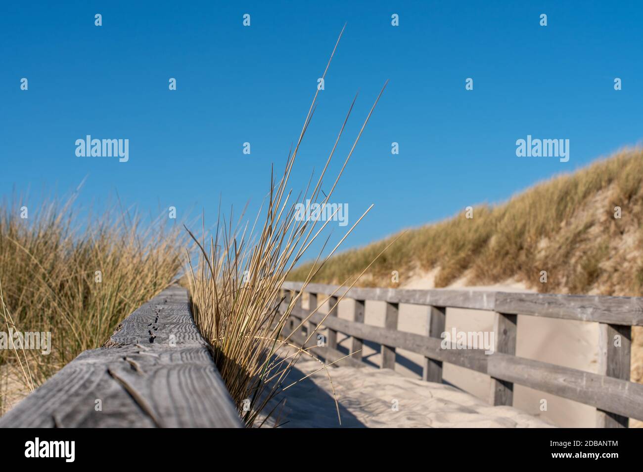 Hölzerne Hängebrücke Stockfoto