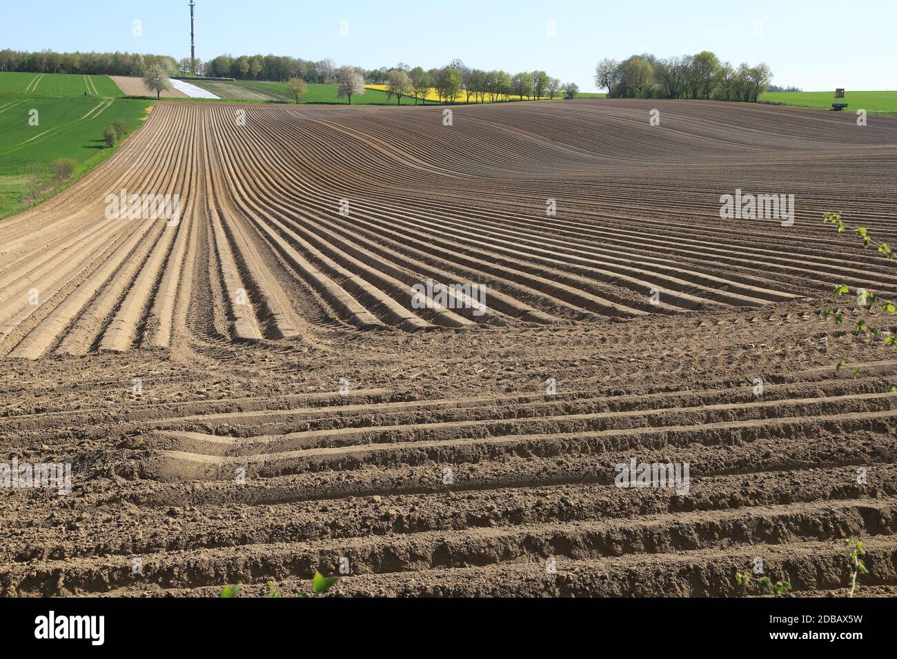 Im Herbst geplündert, Furchen gepflügt Stockfoto