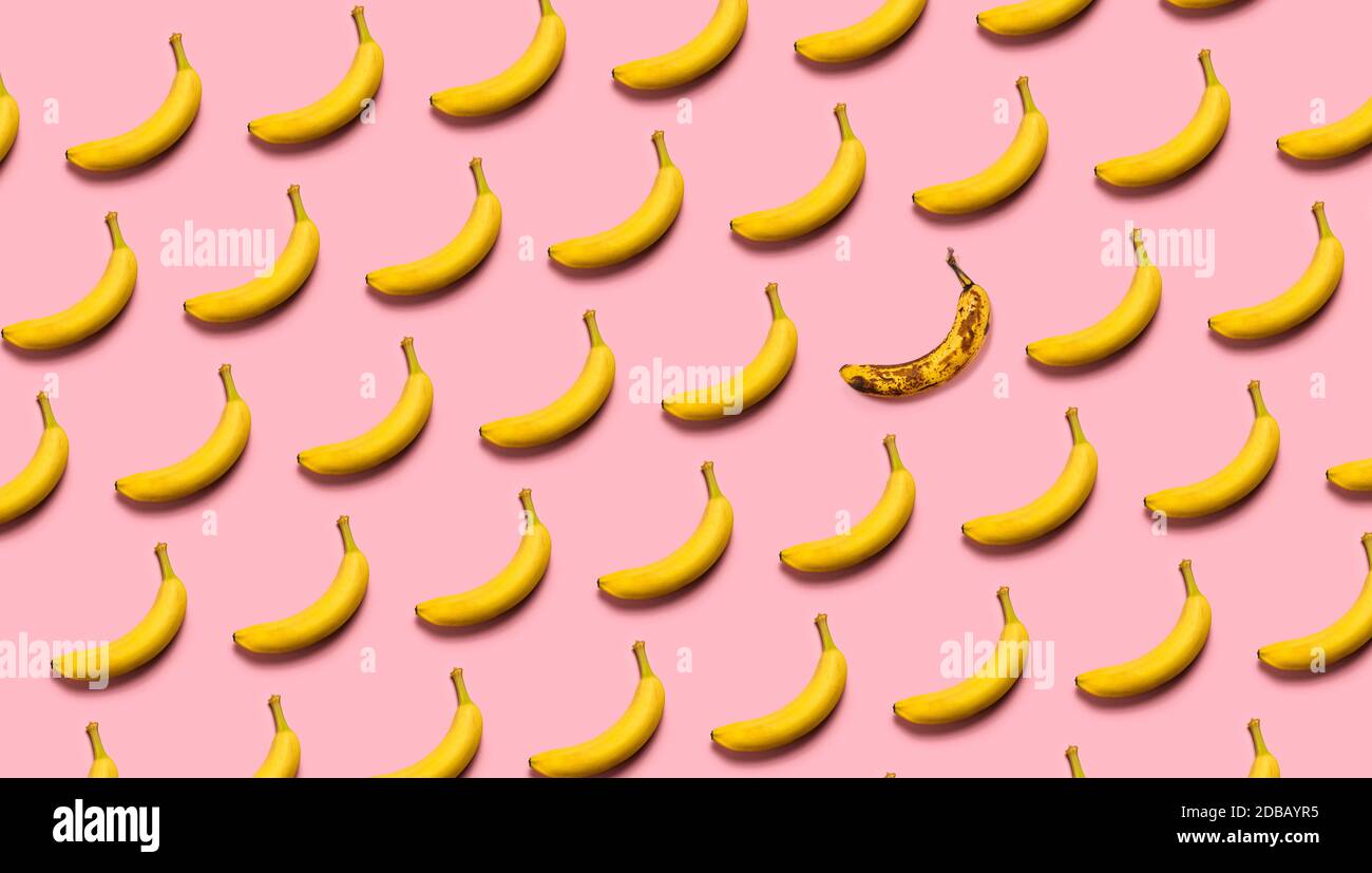 Bananenreihen auf rosa Hintergrund Stockfoto