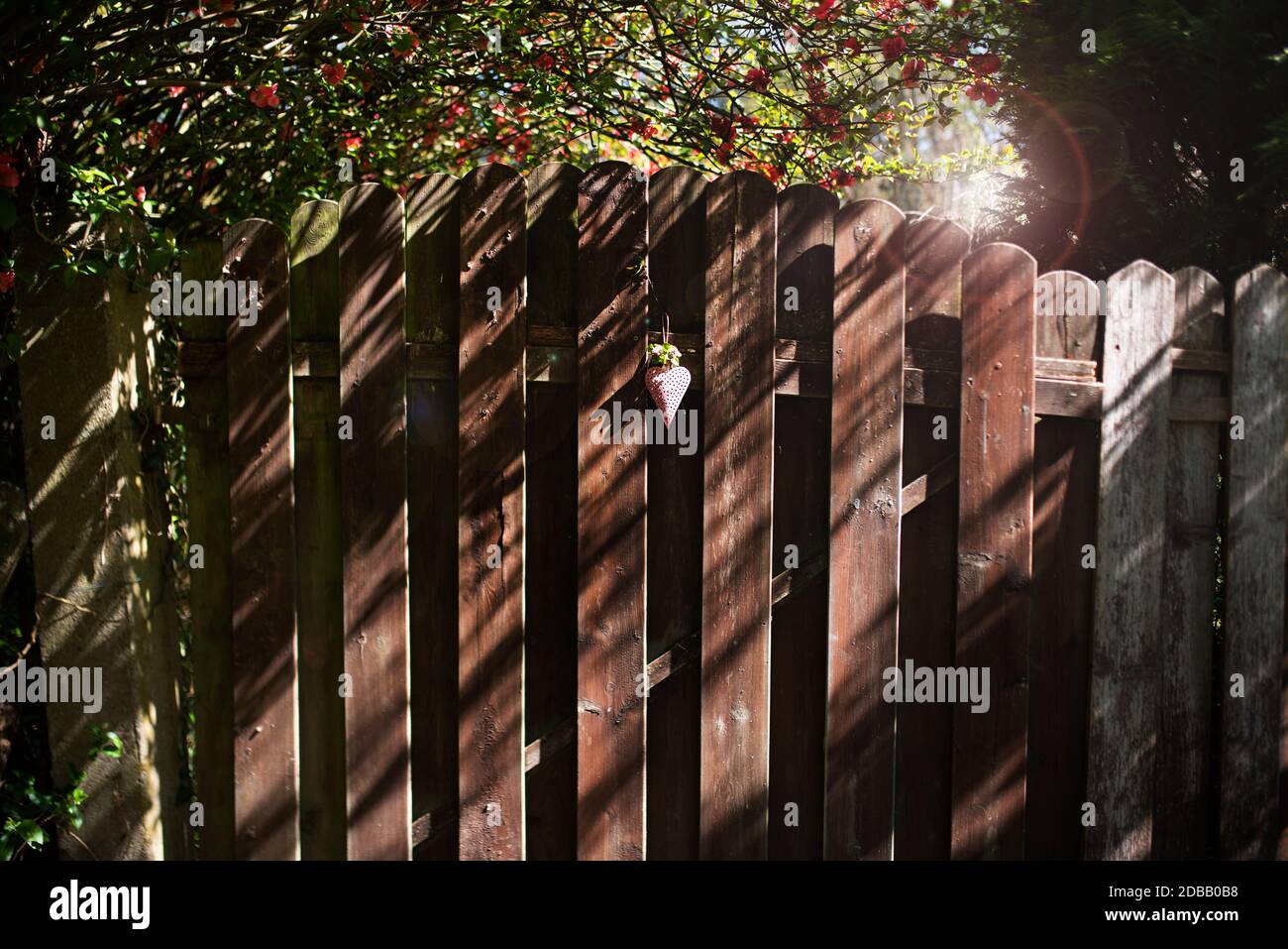 Schönes rosafarbenes Herz an einem alten Holzzaun. Sonniger Hintergrund mit hellem Bokeh für ein Muttertagskonzept. Leerzeichen für Text. Stockfoto