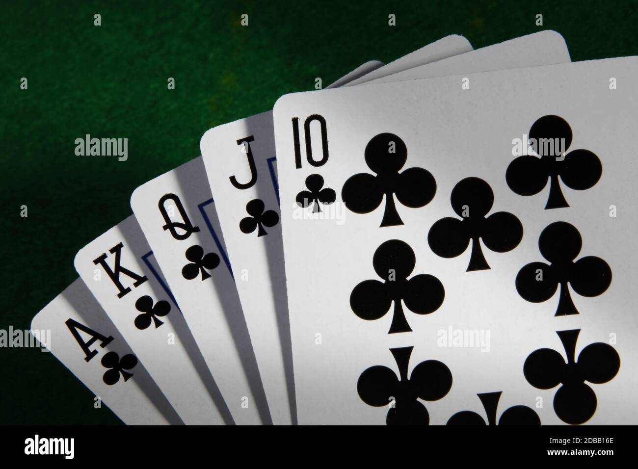 Ein Royal Flush in Clubs höchste Pokerhand mit grünem Kartentisch Hintergrund und stimmungsvollem Licht Stockfoto