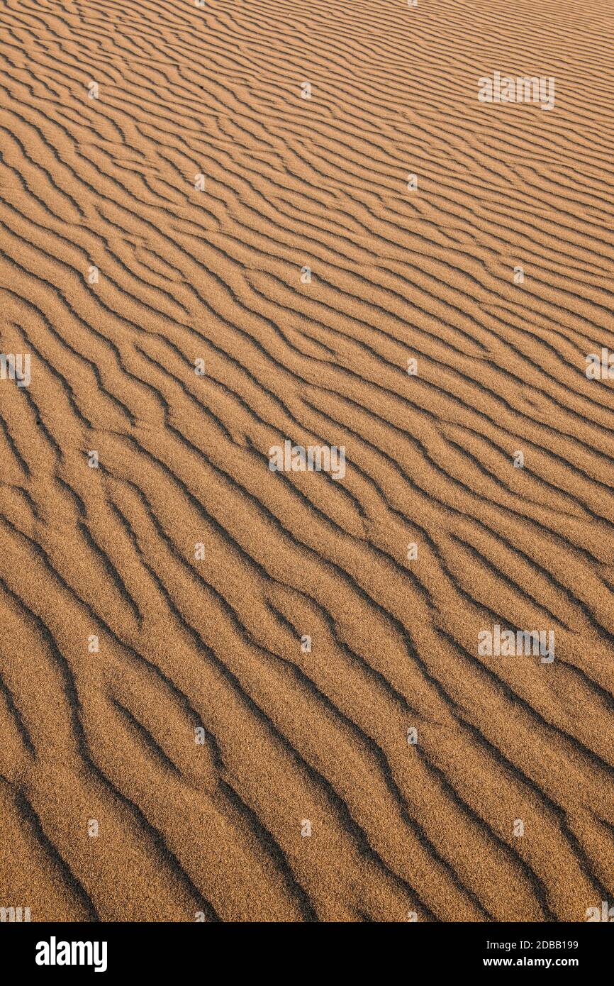 Windmuster auf Sand Stockfoto