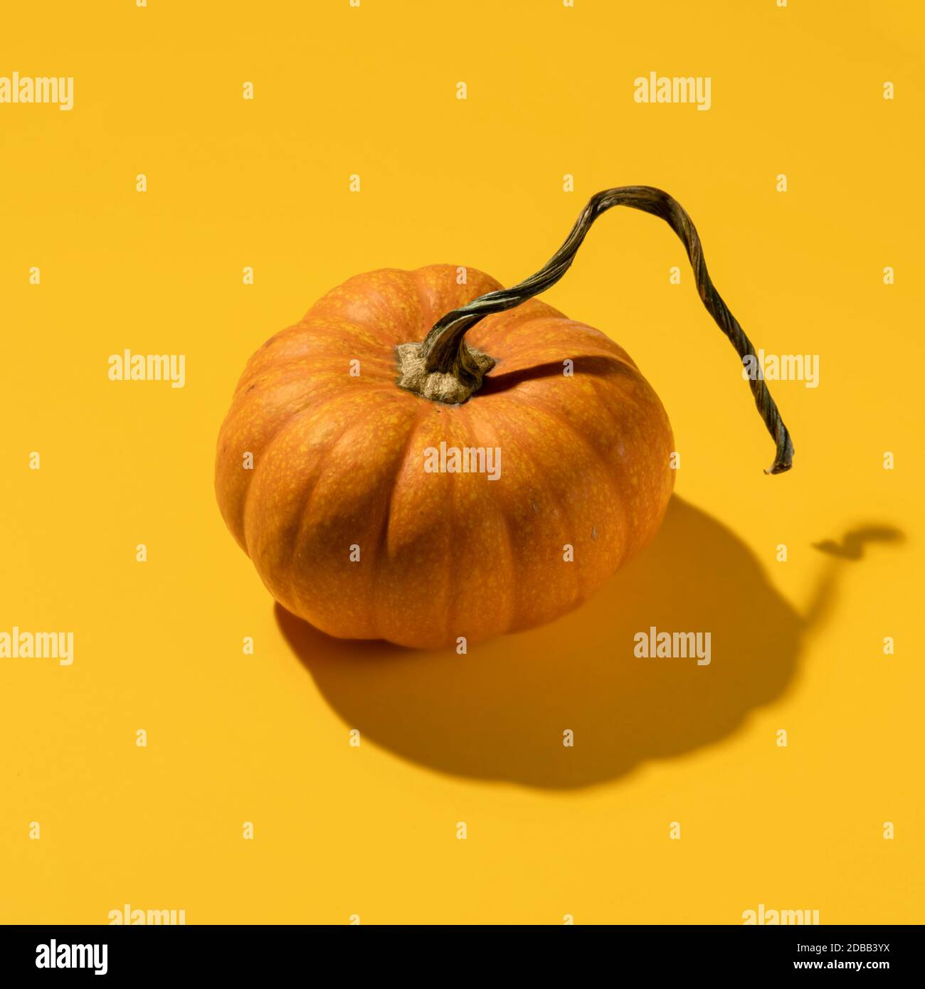 Kürbis auf orangem Hintergrund Stockfoto
