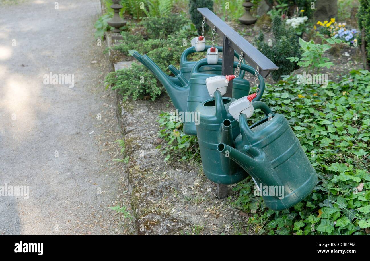 grünen Gießkannen Stockfoto