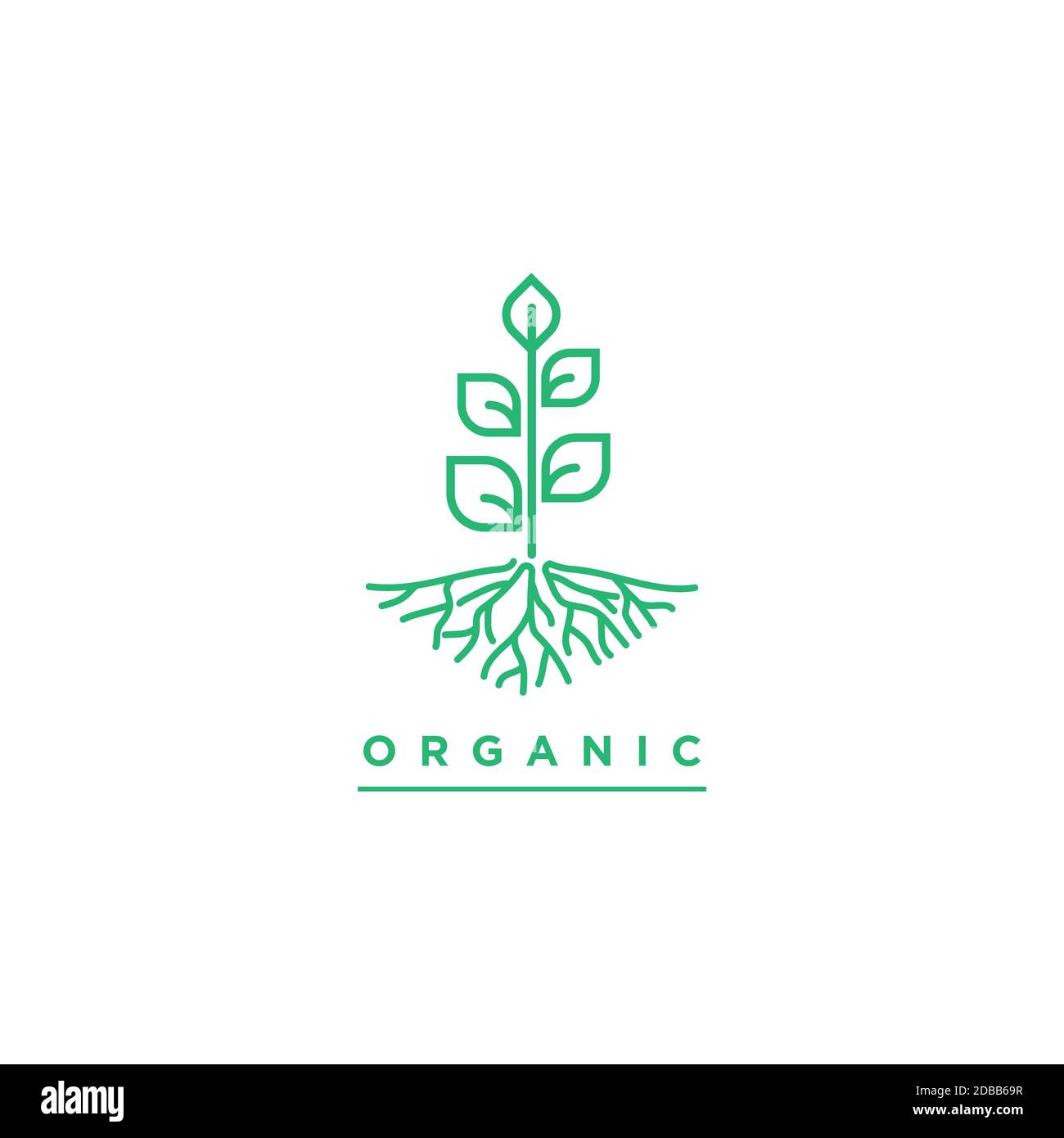 Pflanzen Illustration Symbol Vektor template.Organic Pflanzen Logo Design Stock Vektor