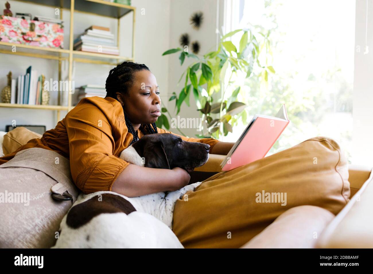 Frau liest Buch auf dem Sofa mit ihrem Hund Stockfoto
