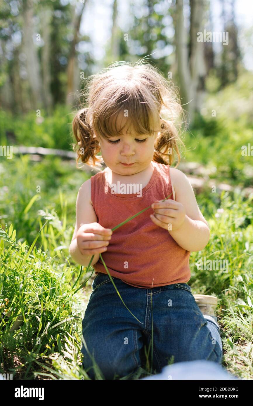 USA, Utah, Uinta National Park, Girl (6-7) hält Grashalme im Wald Stockfoto