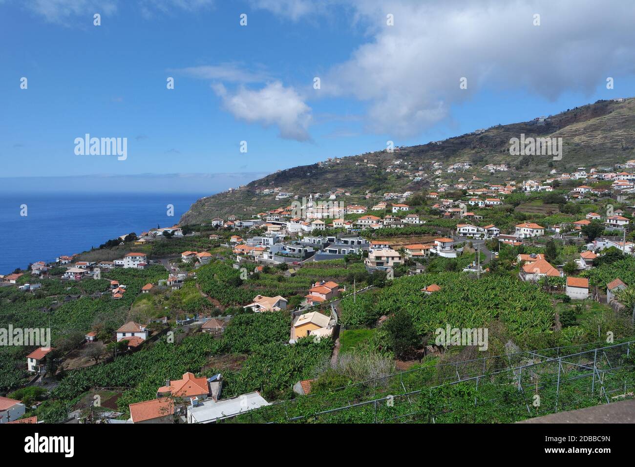 Ländliches Madeira Stockfoto