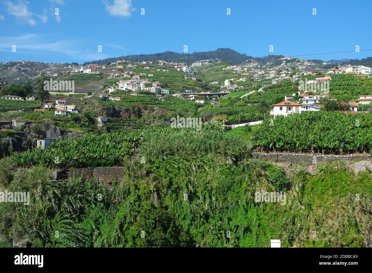 Ländliches Madeira Stockfoto