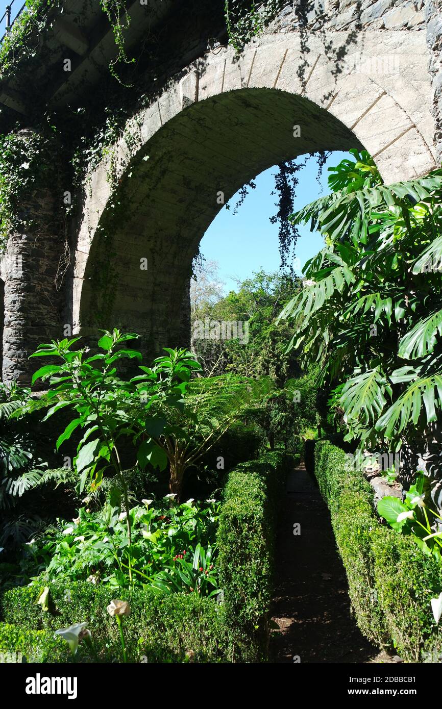 Stadtgarten Monte, Madeira Stockfoto