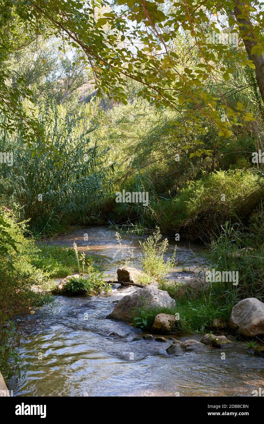 Bach mit ruhigem und transparentem Wasser, kleinem Wasserfall, Vegetation und hellem Licht Stockfoto