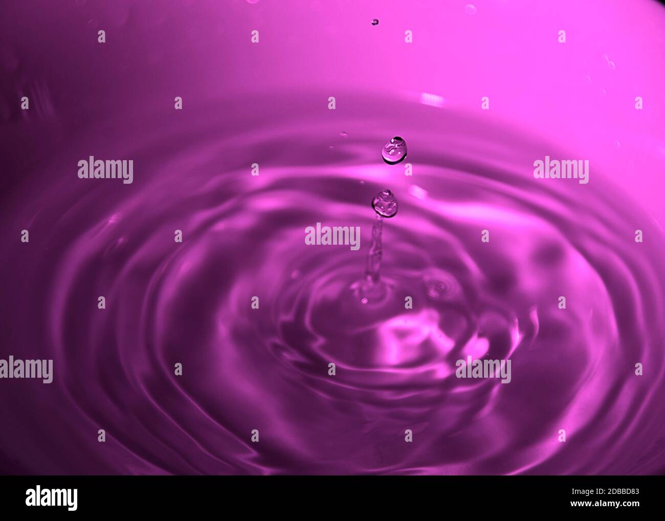 Wassertropfen auf weiße Schale, Magentarote, Bläulich, Wellen, Stockfoto