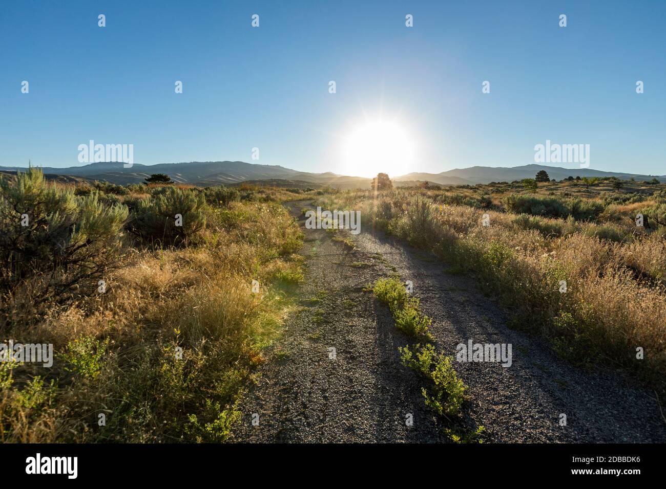 USA, Idaho, Boise, unbefestigte Straße in der Landschaft bei Sonnenaufgang Stockfoto