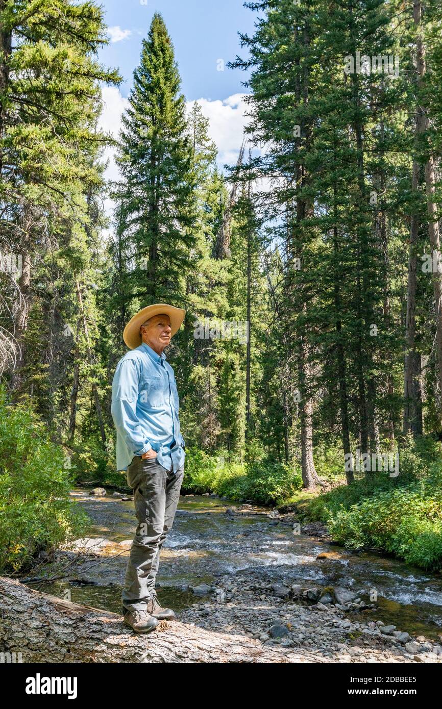 USA, Idaho, Sun Valley, Mann, der auf einem umgestürzten Baum über dem Fluss im Wald steht Stockfoto