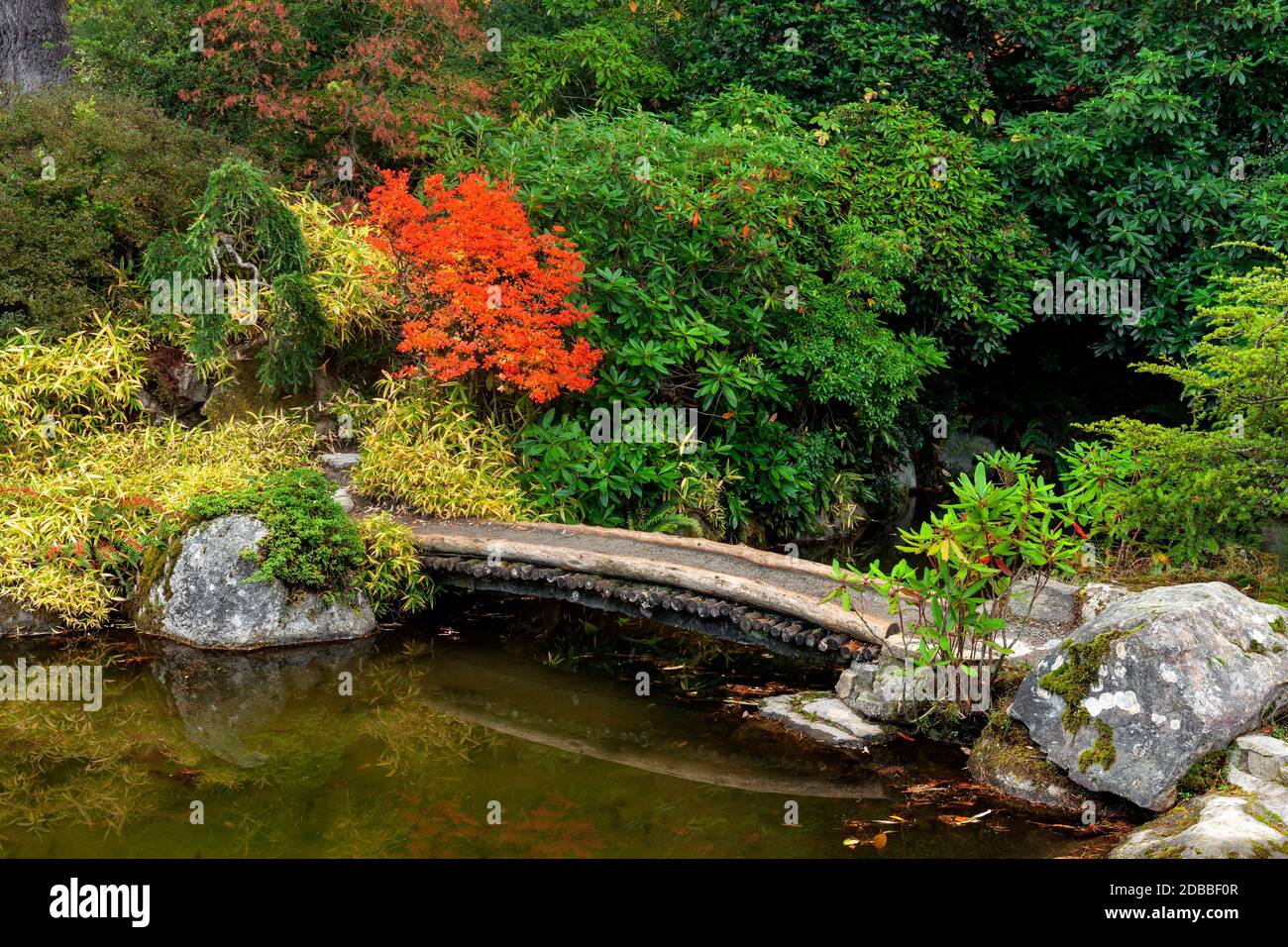 WA17914-00..... WASHINGTON - Herbstfarben und Brücke über einen Teich in Kubota Garden, Seattle. Stockfoto