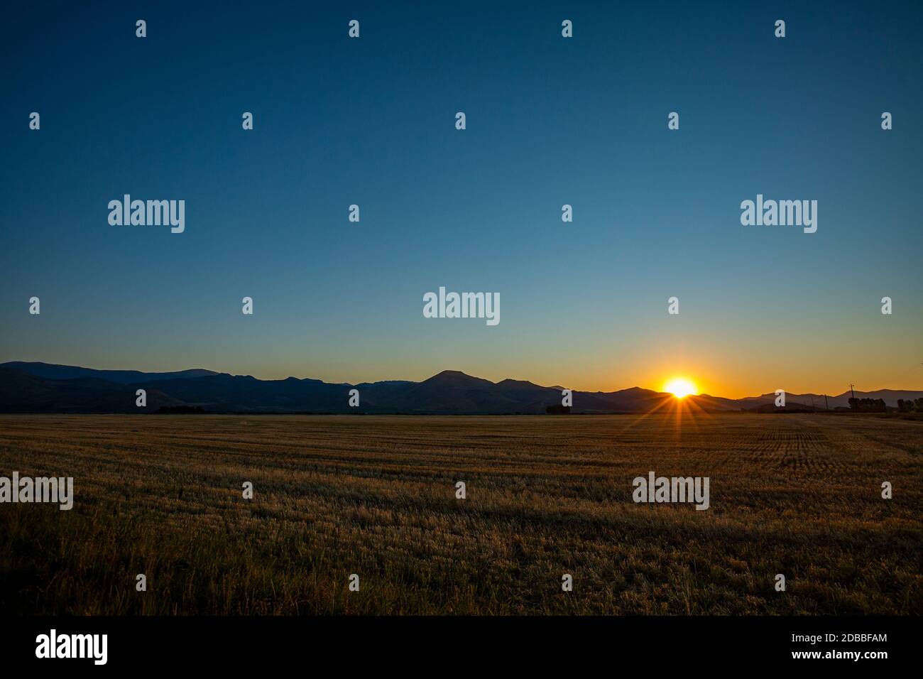 USA, Idaho, Bellevue, Landwirtschaftsfeld bei Sonnenuntergang Stockfoto