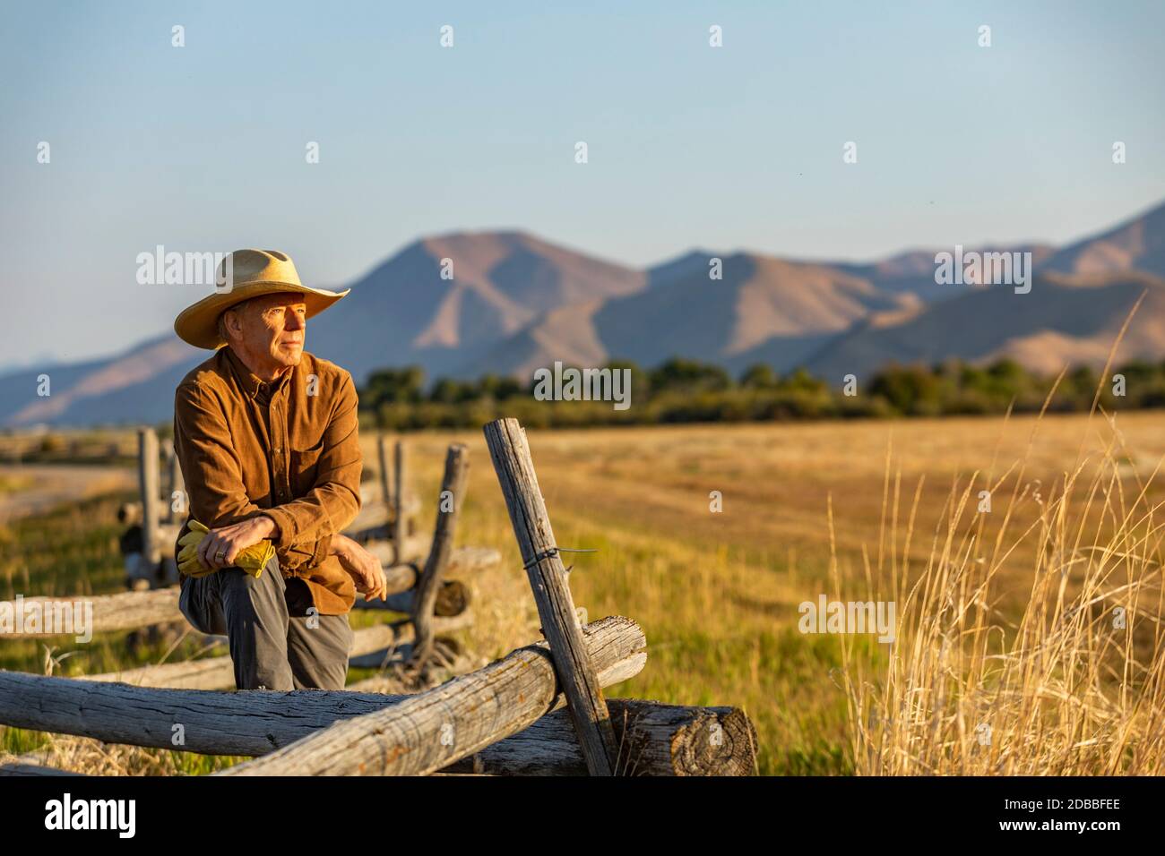 USA, Idaho, Bellevue, Rancher lehnt sich gegen den Zaun auf dem Feld Stockfoto
