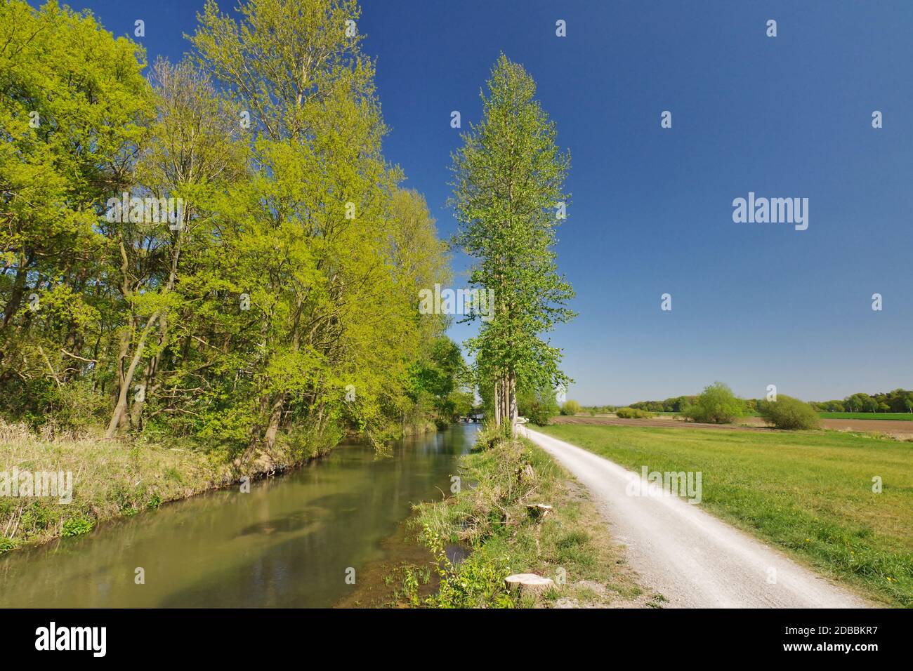 Boker-Heide-Kanal, DelbrÃ¼ck, Paderborn, Nordrhein-Westfalen, Deutschland Stockfoto