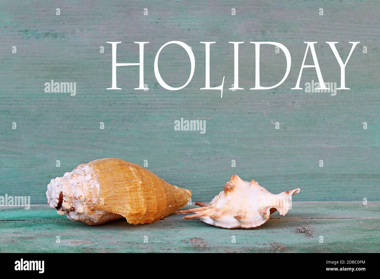 Blauer Holzhintergrund mit zwei Muscheln aus dem Meer. Grafikfoto für den Urlaub Stockfoto