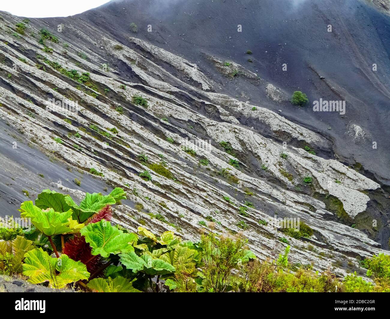 Irazu Vulkan Nationalpark, Cartago, Costa Rica Stockfoto
