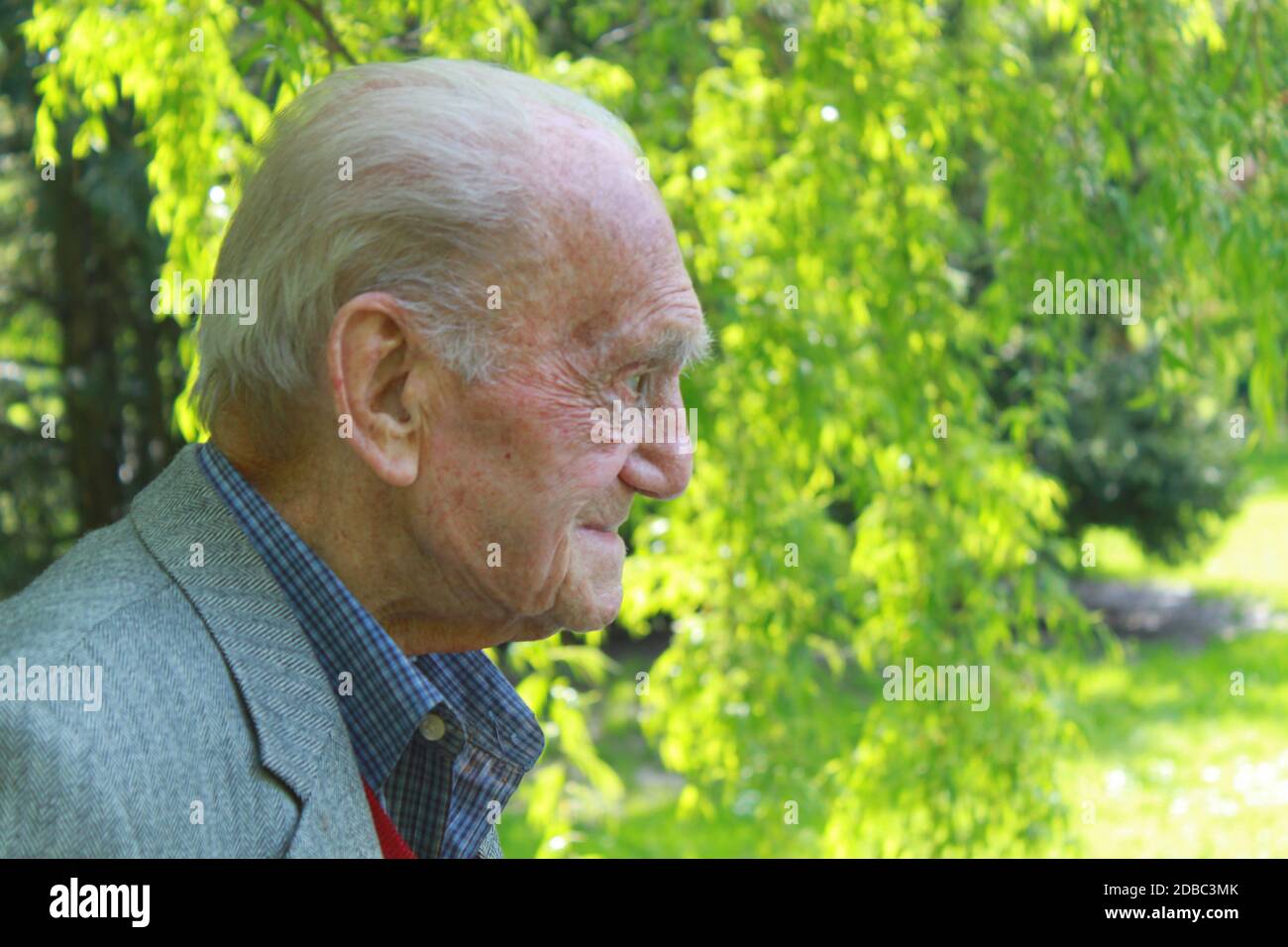 Porträt eines nachdenklichen 90-jährigen Senioren in der Natur Stockfoto