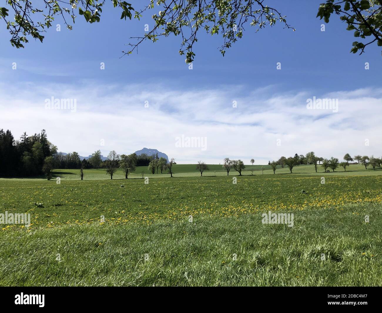 Ruhige Landschaft und schöne Landschaft mit grünen Feldern im Frühjahr Oberösterreich - Salzkammergut Stockfoto