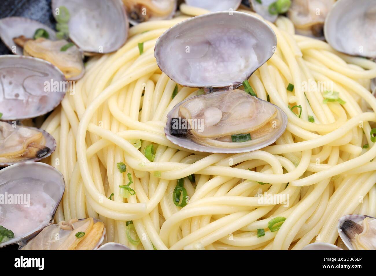 Nahaufnahme der Vongole Spaghetti in einem Gericht Stockfoto