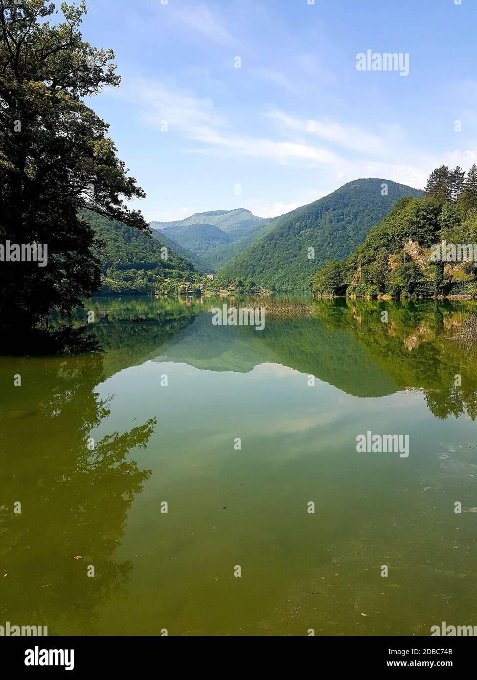 unberührte Natur Stockfoto