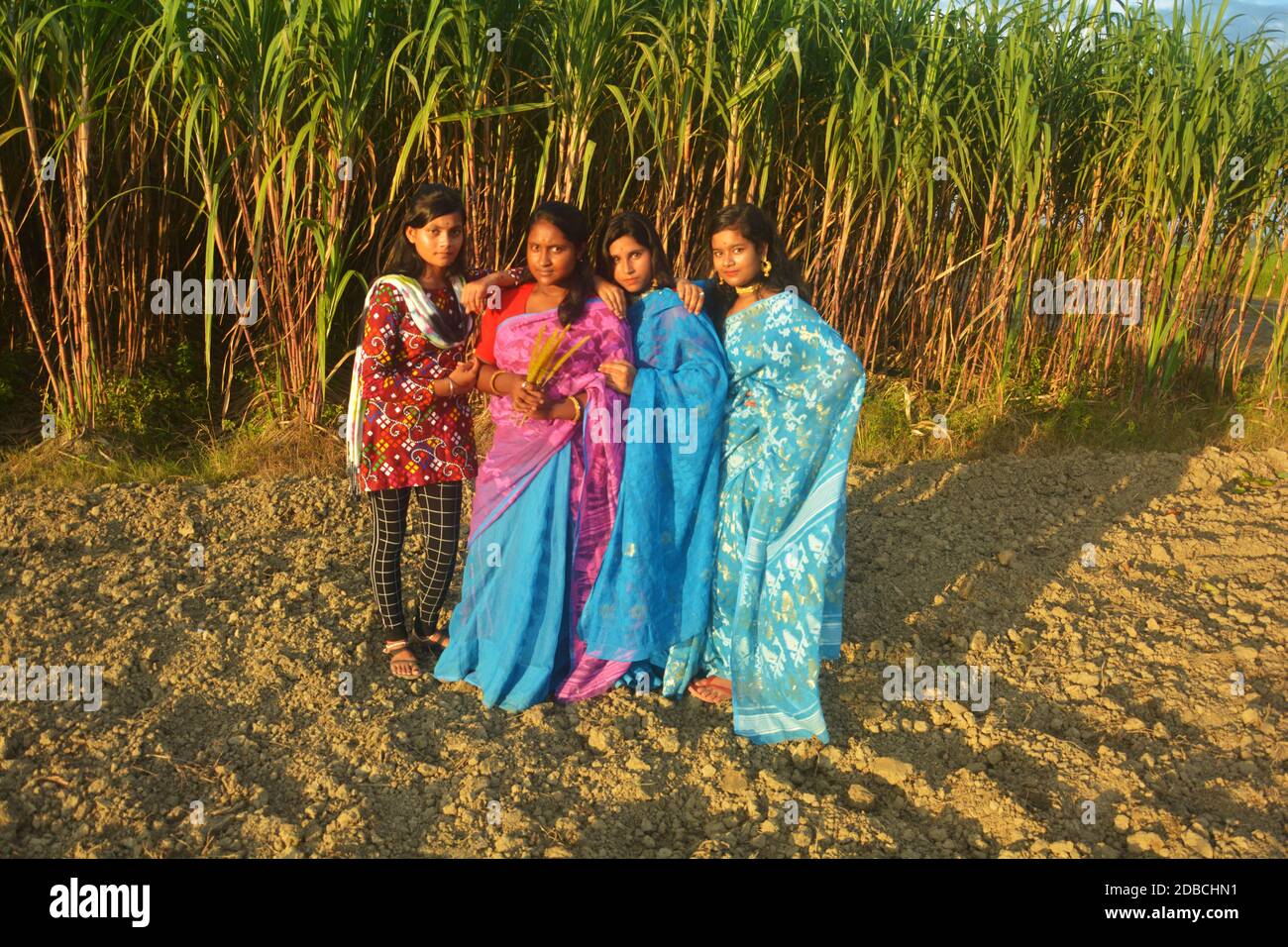 Nahaufnahme von vier indischen bengalischen Teenager Mädchen tragen Saree Bluse Schmuck salwar Kameez auf einem landwirtschaftlichen Land mit stehen Zuckerrohr Stockfoto