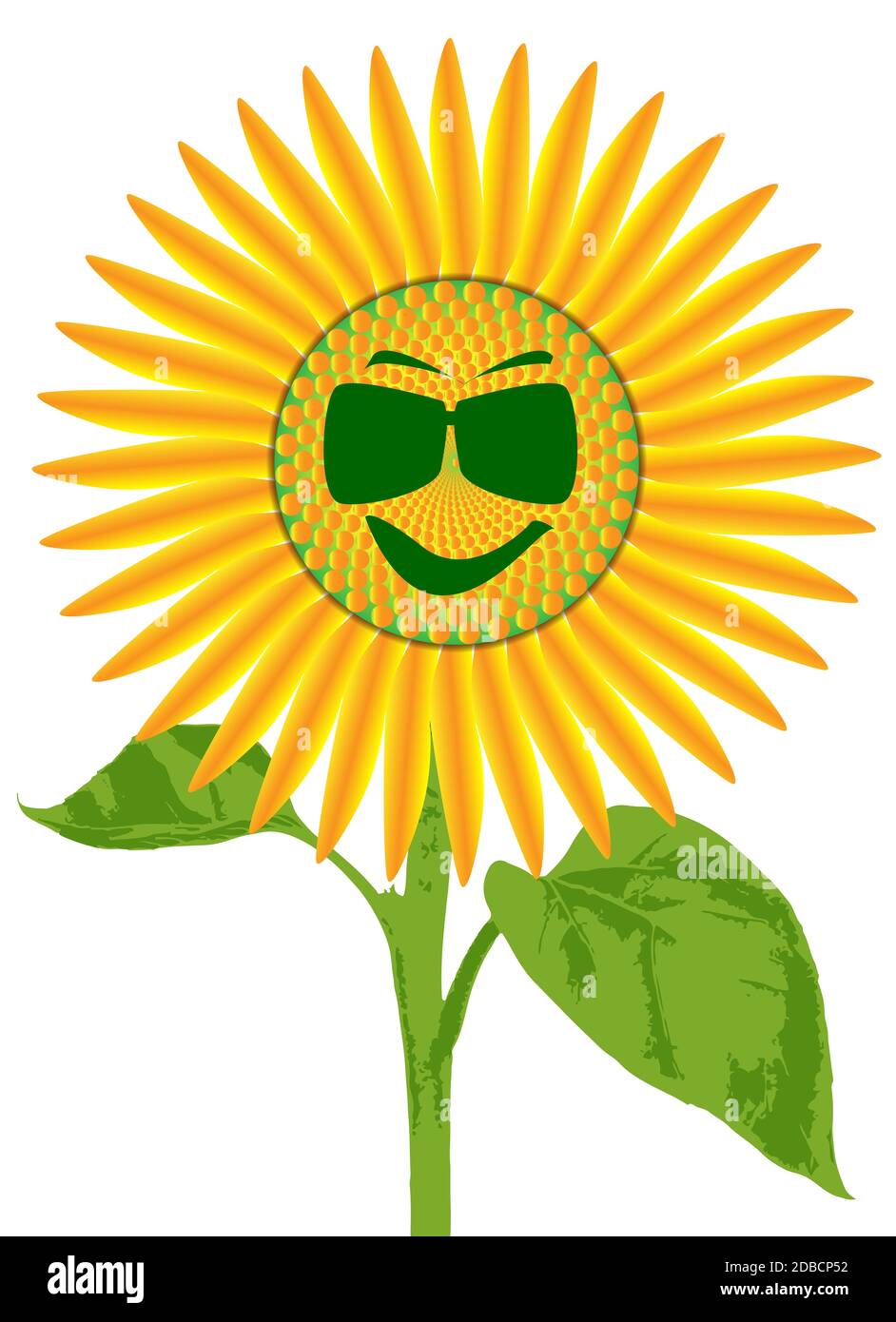 Der Kopf einer großen Sonnenblumenpflanze isoliert auf weißem Grund mit einem Smiley-Gesicht mit Sonnenbrille Stockfoto