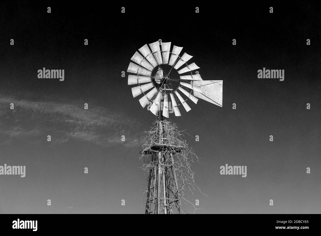 Windpumpe auf einem Iowa-Bauernhof. Stockfoto