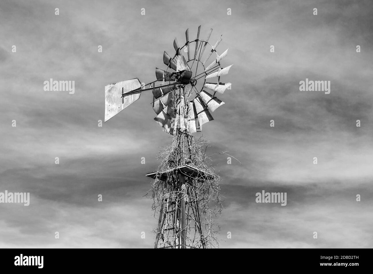 Windpumpe auf einem Iowa-Bauernhof im Lee County. Stockfoto