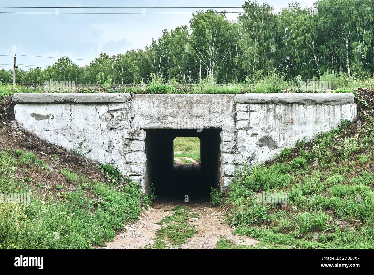 Fußgängertunnel unter der Eisenbahn in der Landschaft. Dunkler Tunnel auf dem Hintergrund des Waldes Stockfoto