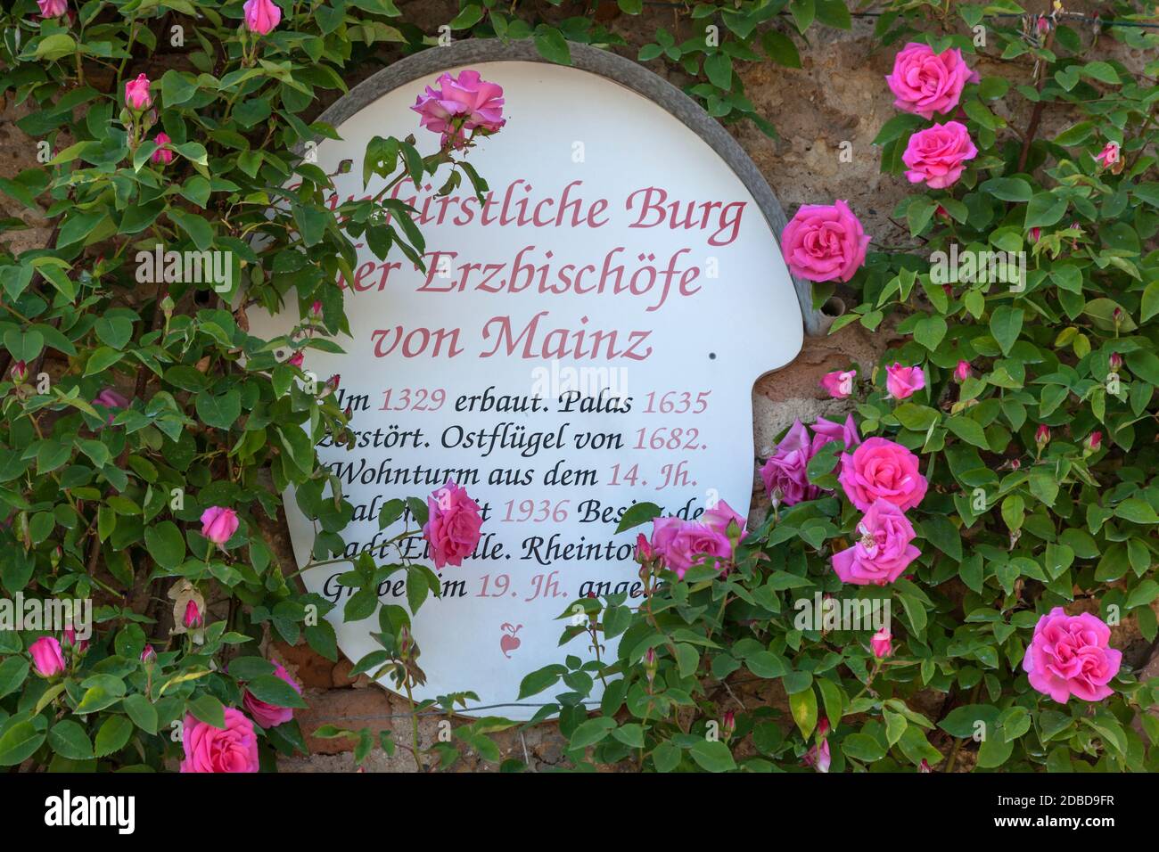 Geographie / Reisen, Deutschland, Hessen, Eltville am Rhein, Eltville, Eingang zum Rosengarten der El, Additional-Rights-Clearance-Info-not-available Stockfoto