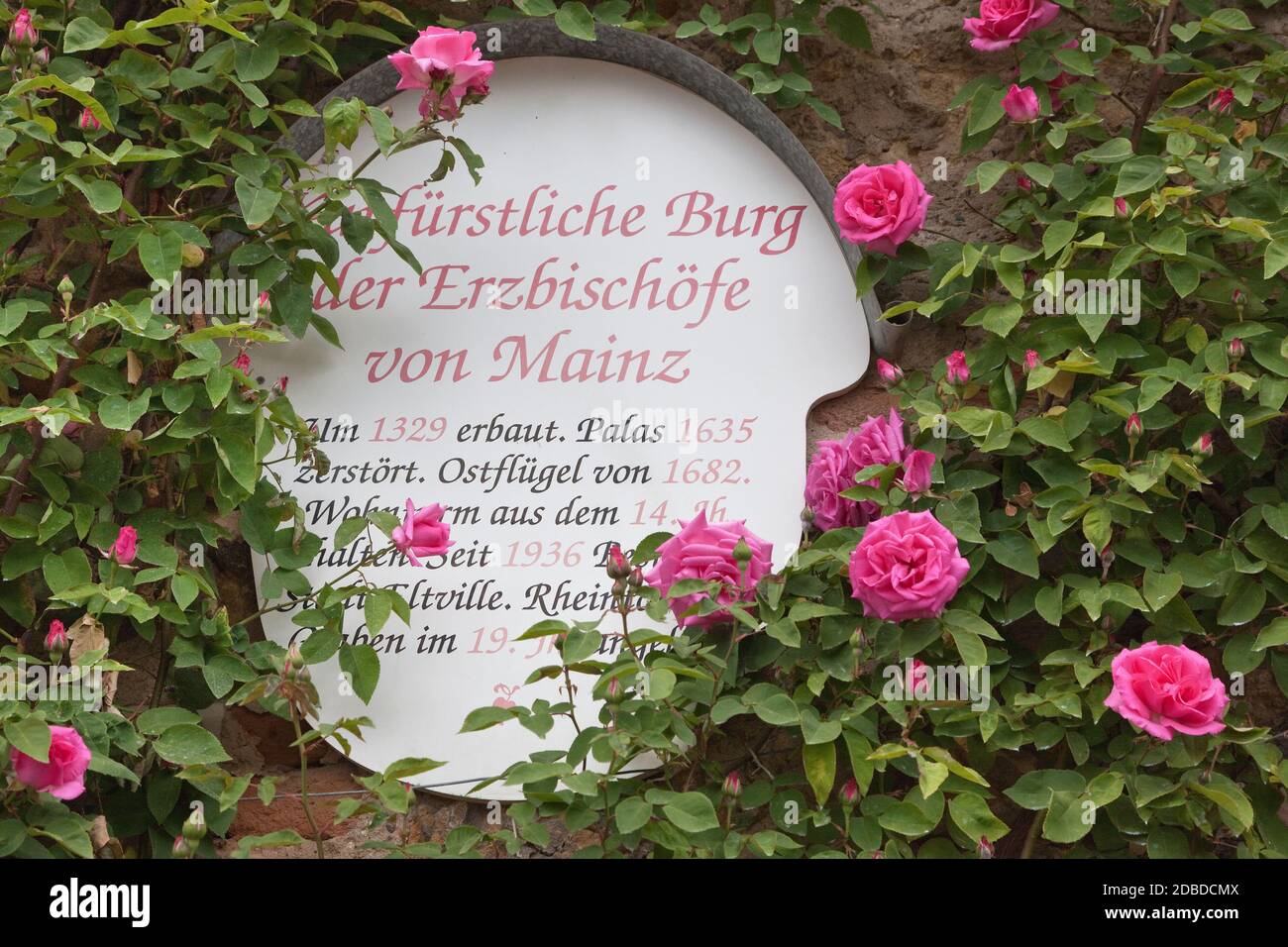 Geographie / Reisen, Deutschland, Hessen, Eltville am Rhein, Eltville, Eingang zum Rosengarten des Electo, Additional-Rights-Clearance-Info-not-available Stockfoto