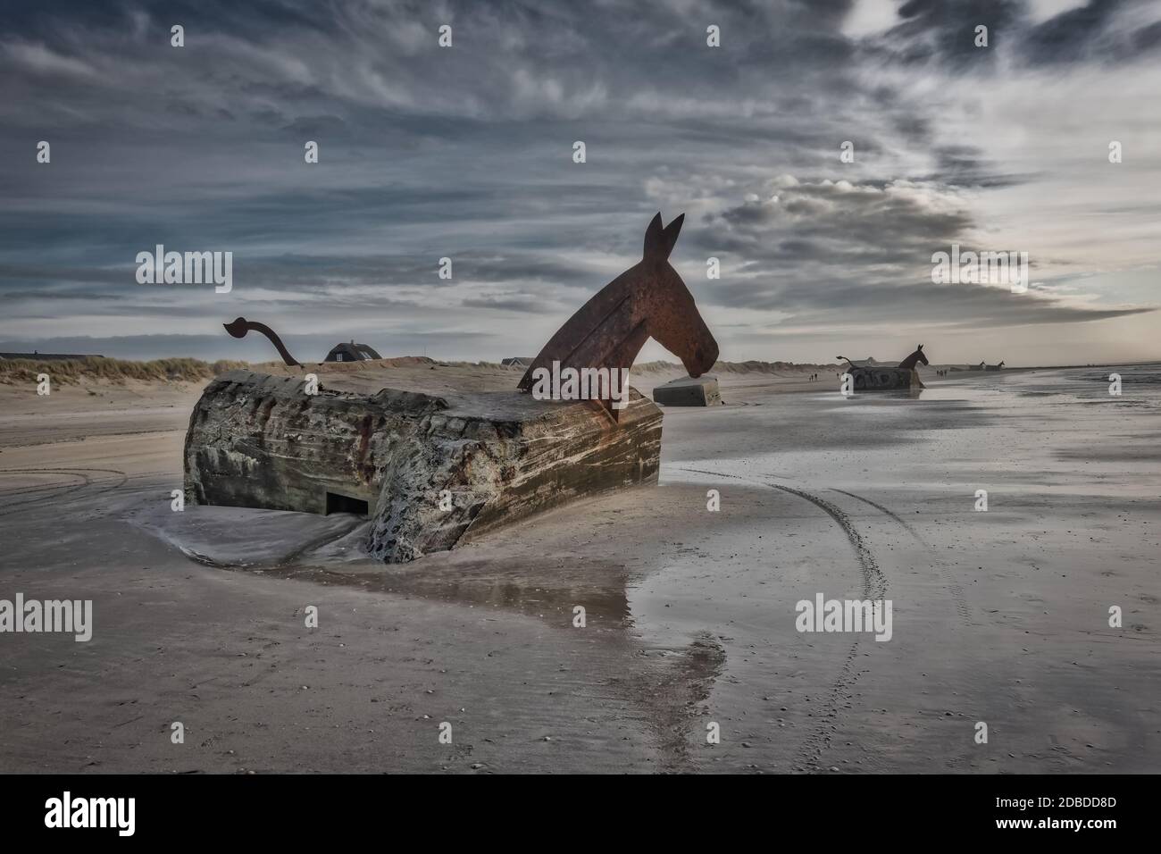 Bunker Maultiere Pferde am Blaavand Strand, Nordseeküste, Dänemark Stockfoto