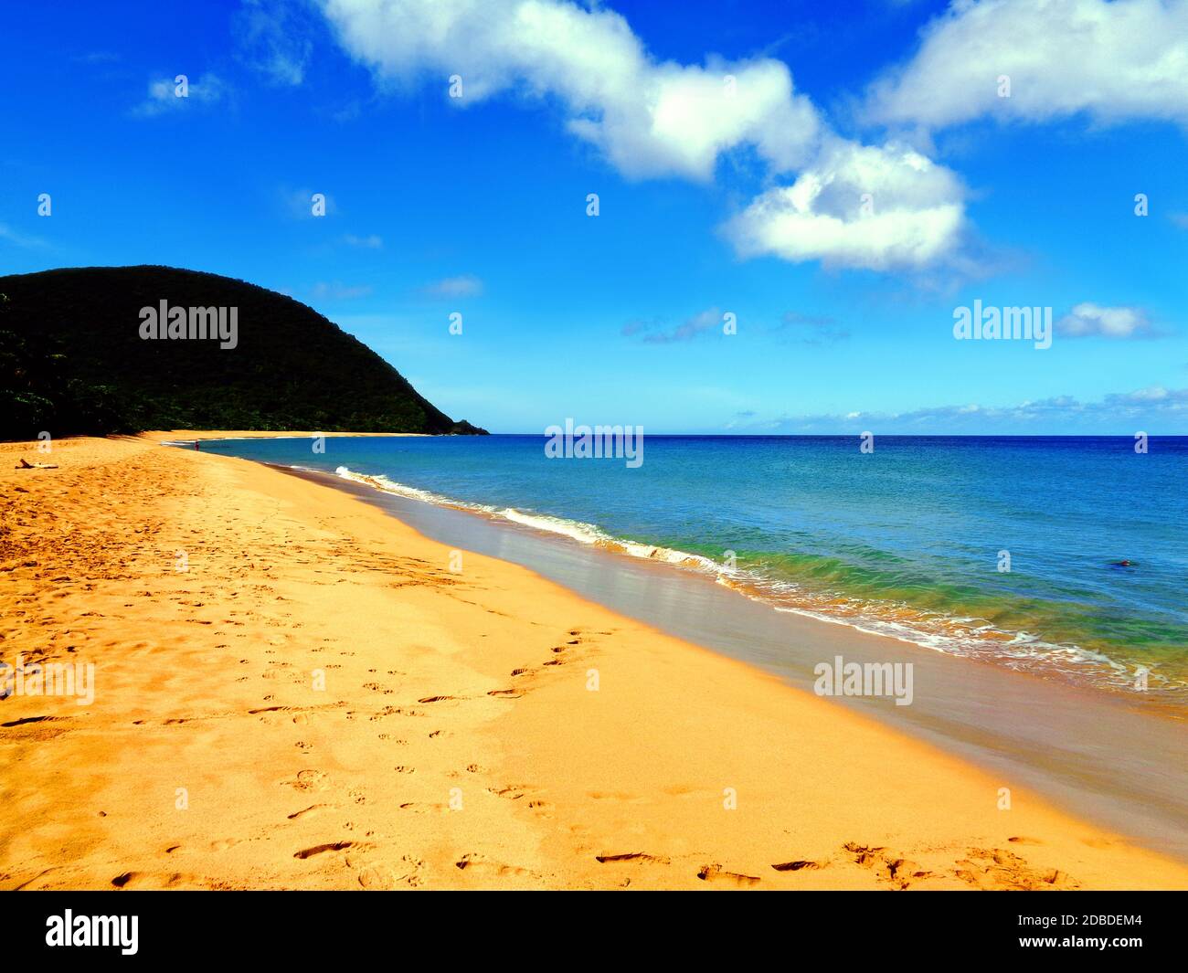 Grande-Anse Beach in der Nähe von Deshaies, Guadeloupe Stockfoto