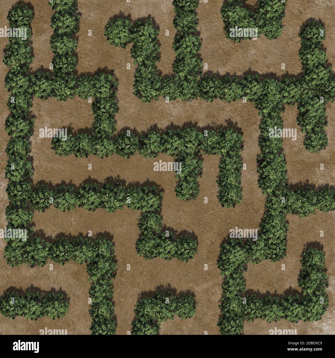 Buchsbaumlabyrinth auf einer Sandfläche Stockfoto