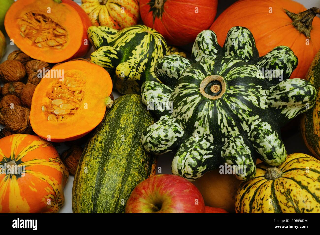 Viele verschiedene Kürbisse auf einem Holztisch Stockfoto