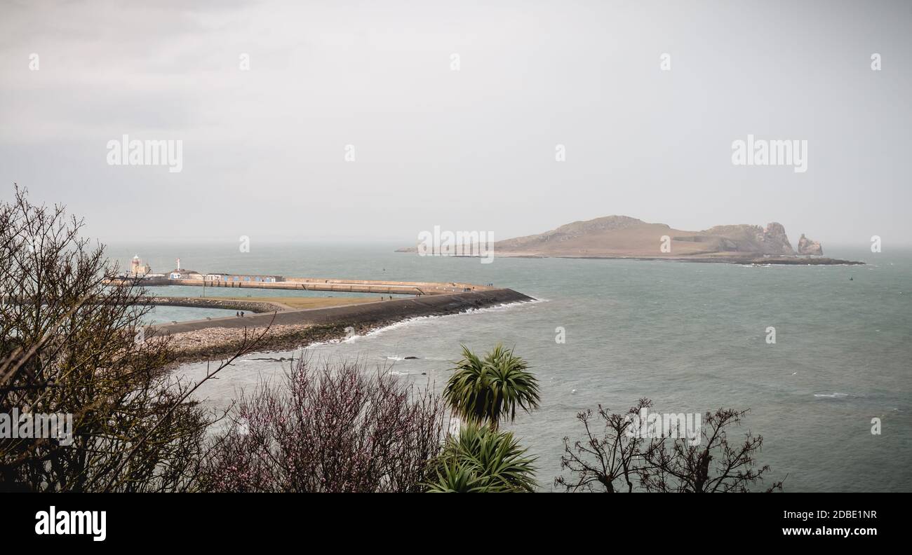 Blick auf die wilde Insel von Ireland Eye in Howth Bay, Irland Stockfoto