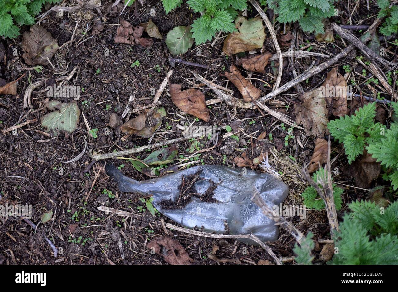 Plastikflasche auf dem Boden, suffolk england Stockfoto